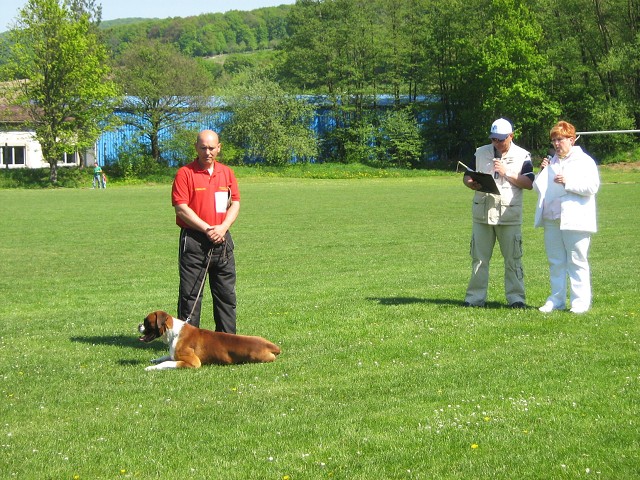 www.atibox.net * www.euroboxer.eu * www.boxergenealogia.eu